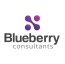Blueberry Consultants Ltd logo